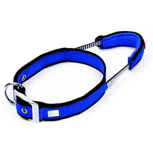 Dog Control System Halsband (61-70 cm x 30 mm)