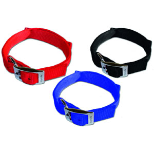Dog Control Halsband Basic L (51-60 cm x 30 mm)