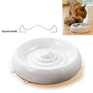 Lucky-Kitty Special Cat Bowl