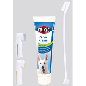 Zahnpflege-Set fr Hunde mit Zahncreme und Brsten