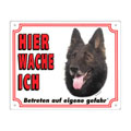 FREE Dog Warning Sign, Belgian Shepherd Dog
