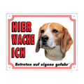 FREE Dog Warning Sign, Beagle